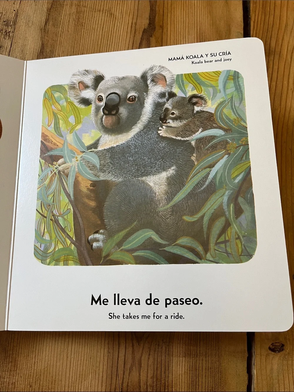 <Spanish & English> I Love My Mommy Because.. Quiero a mi mama porque Board Book